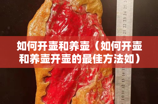如何开壶和养壶（如何开壶和养壶开壶的最佳方法如）