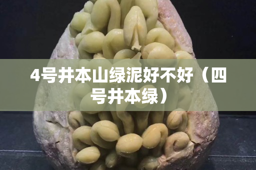 4号井本山绿泥好不好（四号井本绿）