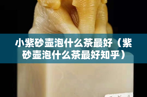 小紫砂壶泡什么茶最好（紫砂壶泡什么茶最好知乎）