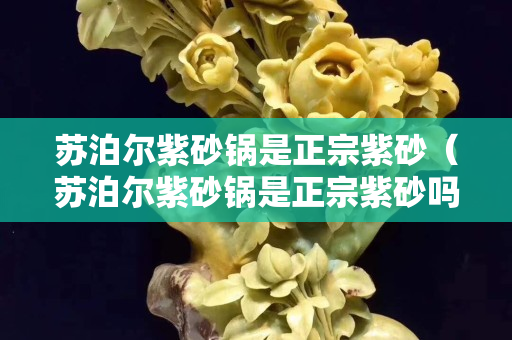 苏泊尔紫砂锅是正宗紫砂（苏泊尔紫砂锅是正宗紫砂吗）