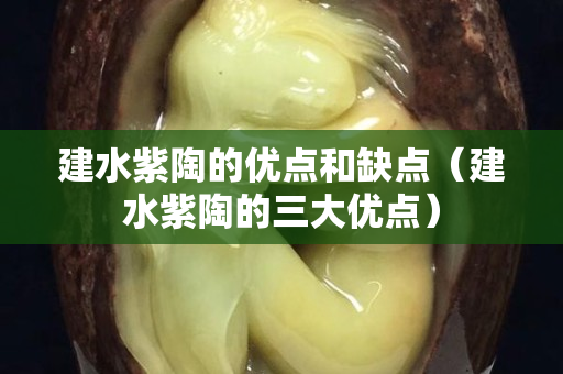 建水紫陶的优点和缺点（建水紫陶的三大优点）