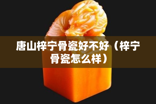 唐山梓宁骨瓷好不好（梓宁骨瓷怎么样）