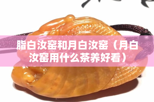 脂白汝窑和月白汝窑（月白汝窑用什么茶养好看）