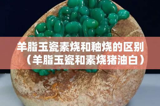 羊脂玉瓷素烧和釉烧的区别（羊脂玉瓷和素烧猪油白）
