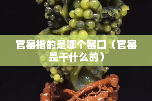 官窑指的是哪个窑口（官窑是干什么的）