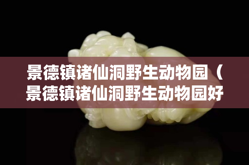 景德镇诸仙洞野生动物园（景德镇诸仙洞野生动物园好玩吗）
