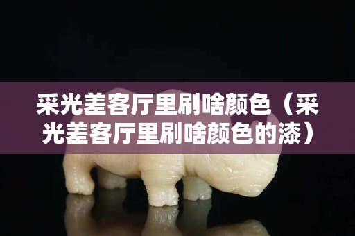 采光差客厅里刷啥颜色（采光差客厅里刷啥颜色的漆）