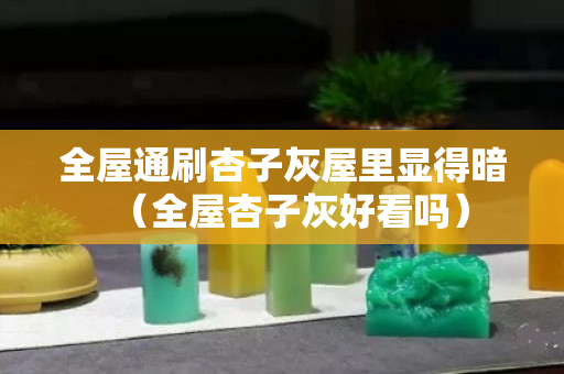 全屋通刷杏子灰屋里显得暗（全屋杏子灰好看吗）