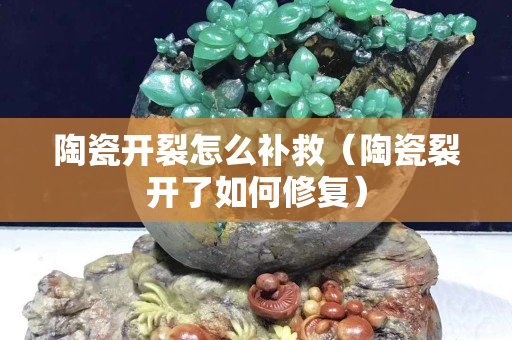 陶瓷开裂怎么补救（陶瓷裂开了如何修复）