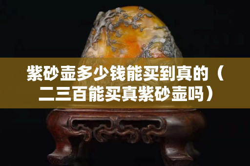 紫砂壶多少钱能买到真的（二三百能买真紫砂壶吗）