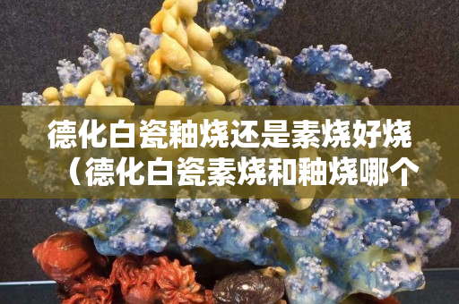 德化白瓷釉烧还是素烧好烧（德化白瓷素烧和釉烧哪个好）