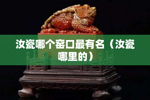 汝瓷哪个窑口最有名（汝瓷哪里的）