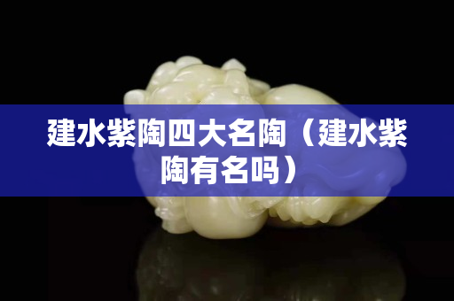 建水紫陶四大名陶（建水紫陶有名吗）