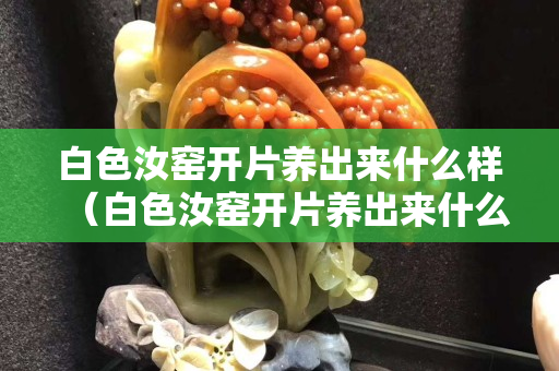 白色汝窑开片养出来什么样（白色汝窑开片养出来什么样的）