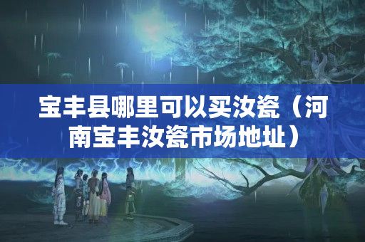 宝丰县哪里可以买汝瓷（河南宝丰汝瓷市场地址）