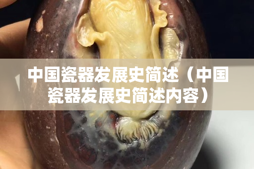 中国瓷器发展史简述（中国瓷器发展史简述内容）