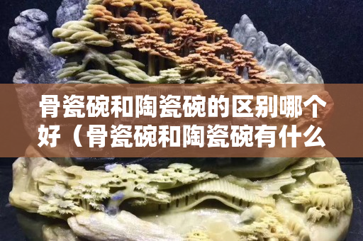 骨瓷碗和陶瓷碗的区别哪个好（骨瓷碗和陶瓷碗有什么区别）
