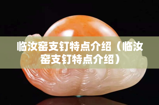 临汝窑支钉特点介绍（临汝窑支钉特点介绍）