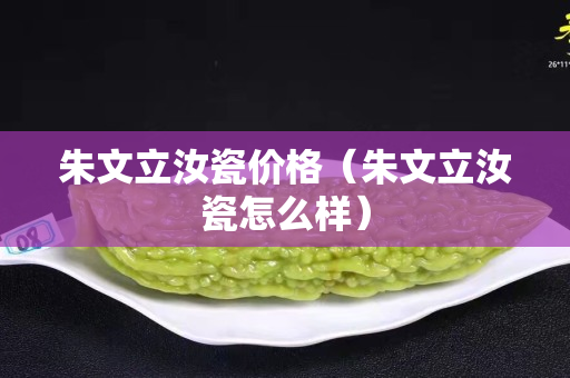 朱文立汝瓷价格（朱文立汝瓷怎么样）