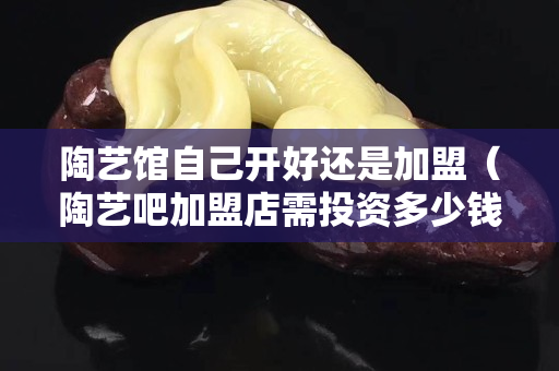 陶艺馆自己开好还是加盟（陶艺吧加盟店需投资多少钱）