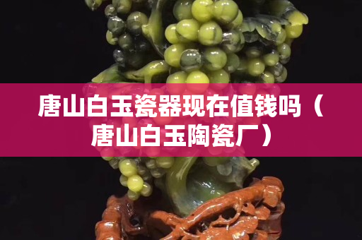 唐山白玉瓷器现在值钱吗（唐山白玉陶瓷厂）
