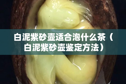白泥紫砂壶适合泡什么茶（白泥紫砂壶鉴定方法）