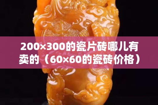 200×300的瓷片砖哪儿有卖的（60×60的瓷砖价格）