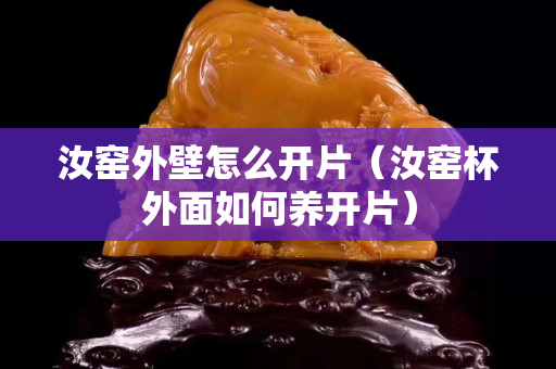 汝窑外壁怎么开片（汝窑杯外面如何养开片）