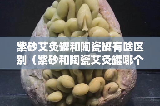 紫砂艾灸罐和陶瓷罐有啥区别（紫砂和陶瓷艾灸罐哪个好）
