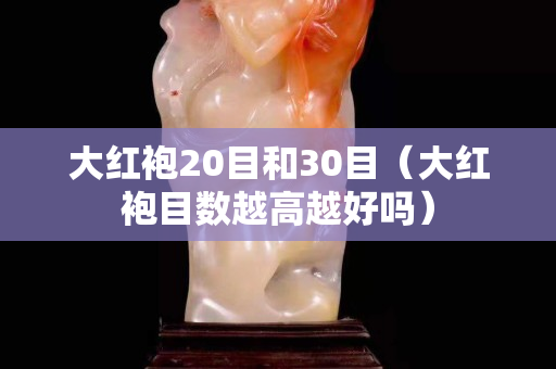 大红袍20目和30目（大红袍目数越高越好吗）