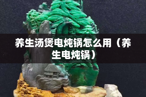 养生汤煲电炖锅怎么用（养生电炖锅）