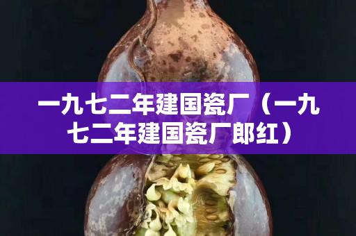 一九七二年建国瓷厂（一九七二年建国瓷厂郎红）