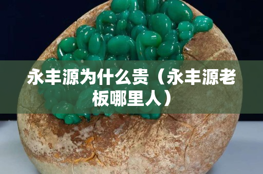 永丰源为什么贵（永丰源老板哪里人）