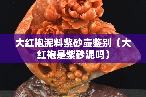 大红袍泥料紫砂壶鉴别（大红袍是紫砂泥吗）