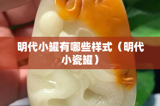 明代小罐有哪些样式（明代小瓷罐）