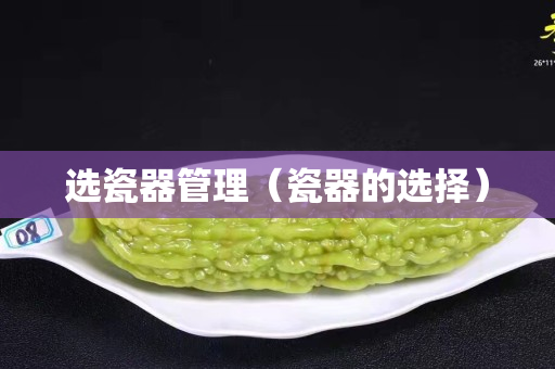 选瓷器管理（瓷器的选择）