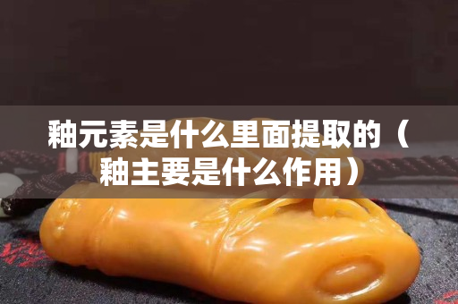 釉元素是什么里面提取的（釉主要是什么作用）