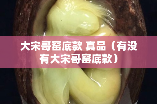 大宋哥窑底款 真品（有没有大宋哥窑底款）