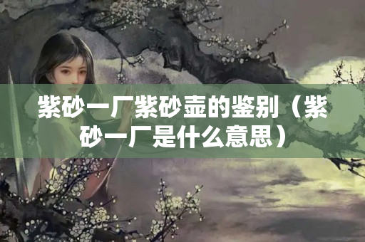 紫砂一厂紫砂壶的鉴别（紫砂一厂是什么意思）