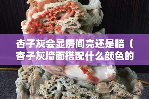 杏子灰会显房间亮还是暗（杏子灰墙面搭配什么颜色的门）