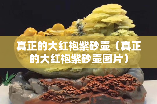 真正的大红袍紫砂壶（真正的大红袍紫砂壶图片）
