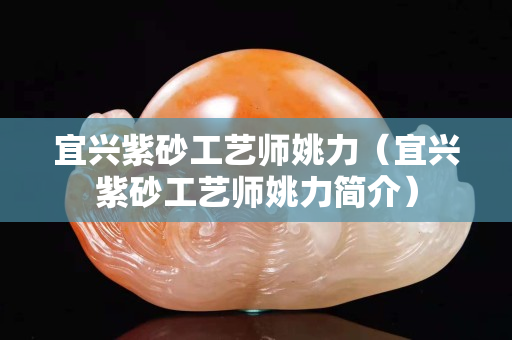 宜兴紫砂工艺师姚力（宜兴紫砂工艺师姚力简介）