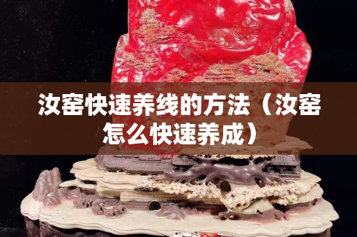 汝窑快速养线的方法（汝窑怎么快速养成）