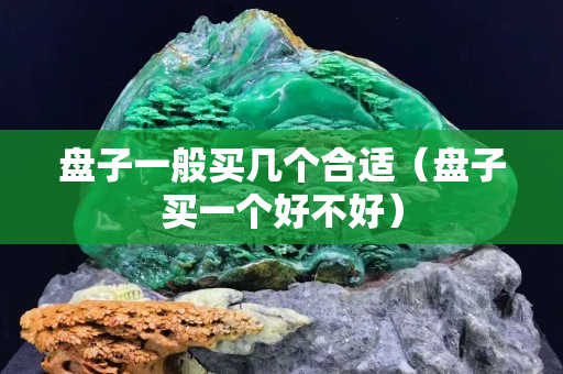 盘子一般买几个合适（盘子买一个好不好）