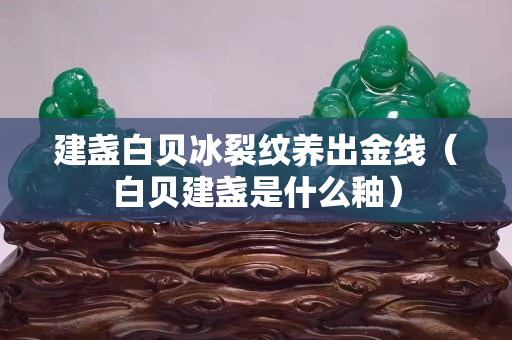 建盏白贝冰裂纹养出金线（白贝建盏是什么釉）