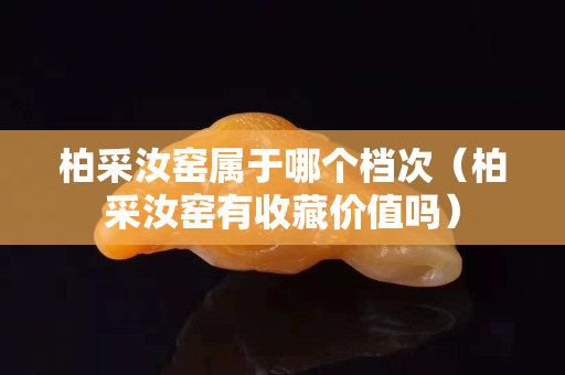 柏采汝窑属于哪个档次（柏采汝窑有收藏价值吗）