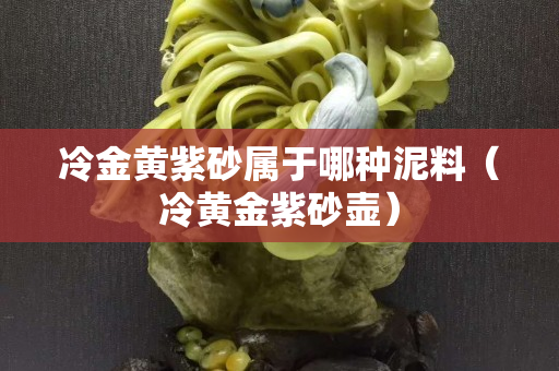 冷金黄紫砂属于哪种泥料（冷黄金紫砂壶）