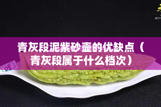 青灰段泥紫砂壶的优缺点（青灰段属于什么档次）