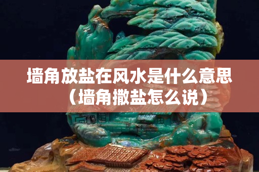 墙角放盐在风水是什么意思（墙角撒盐怎么说）