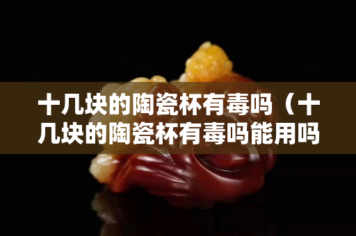 十几块的陶瓷杯有毒吗（十几块的陶瓷杯有毒吗能用吗）